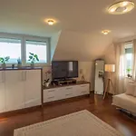 In - Kranjska Krain 45723 Сasa de vacaciones Smarjeske Toplice